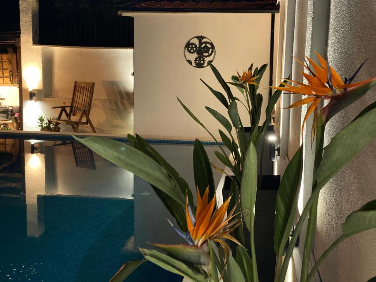 Villa Nikola Котор Экстерьер фото